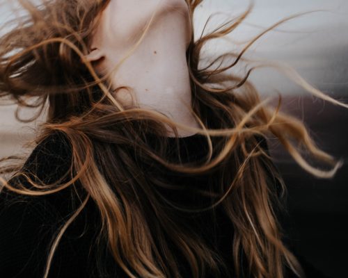 Storie - IT 10 rachel lynette french 638688 unsplash
