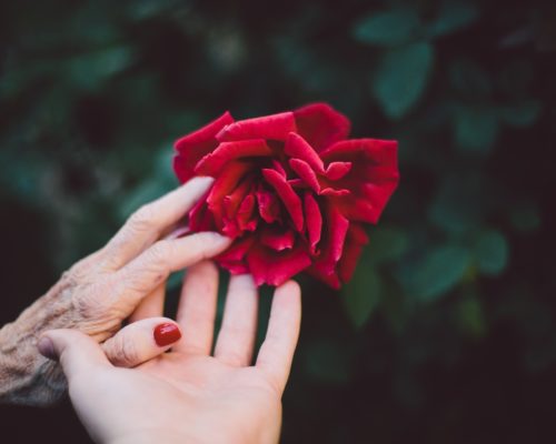 Storie - IT 2 jake thacker 113197 unsplash