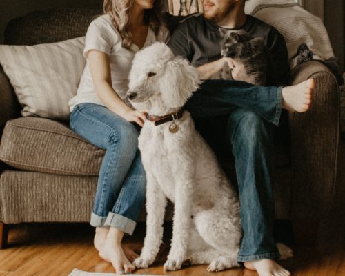 Storie - IT 4 sarandy westfall 666700 unsplash